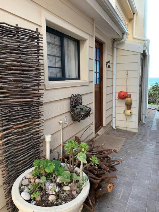 וויטסנד Baby Whale Bliss - Beachfront House מראה חיצוני תמונה